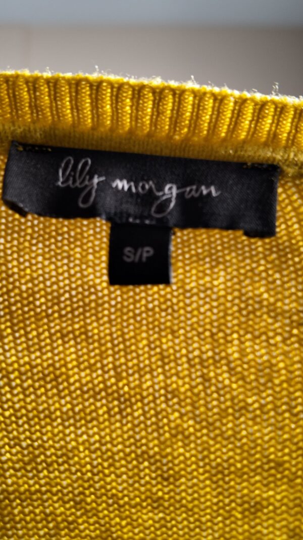 dji-mimo_20250513_222924_0_1747198608561_photo Lily Morgan Small Yellow Long Sleeve Top