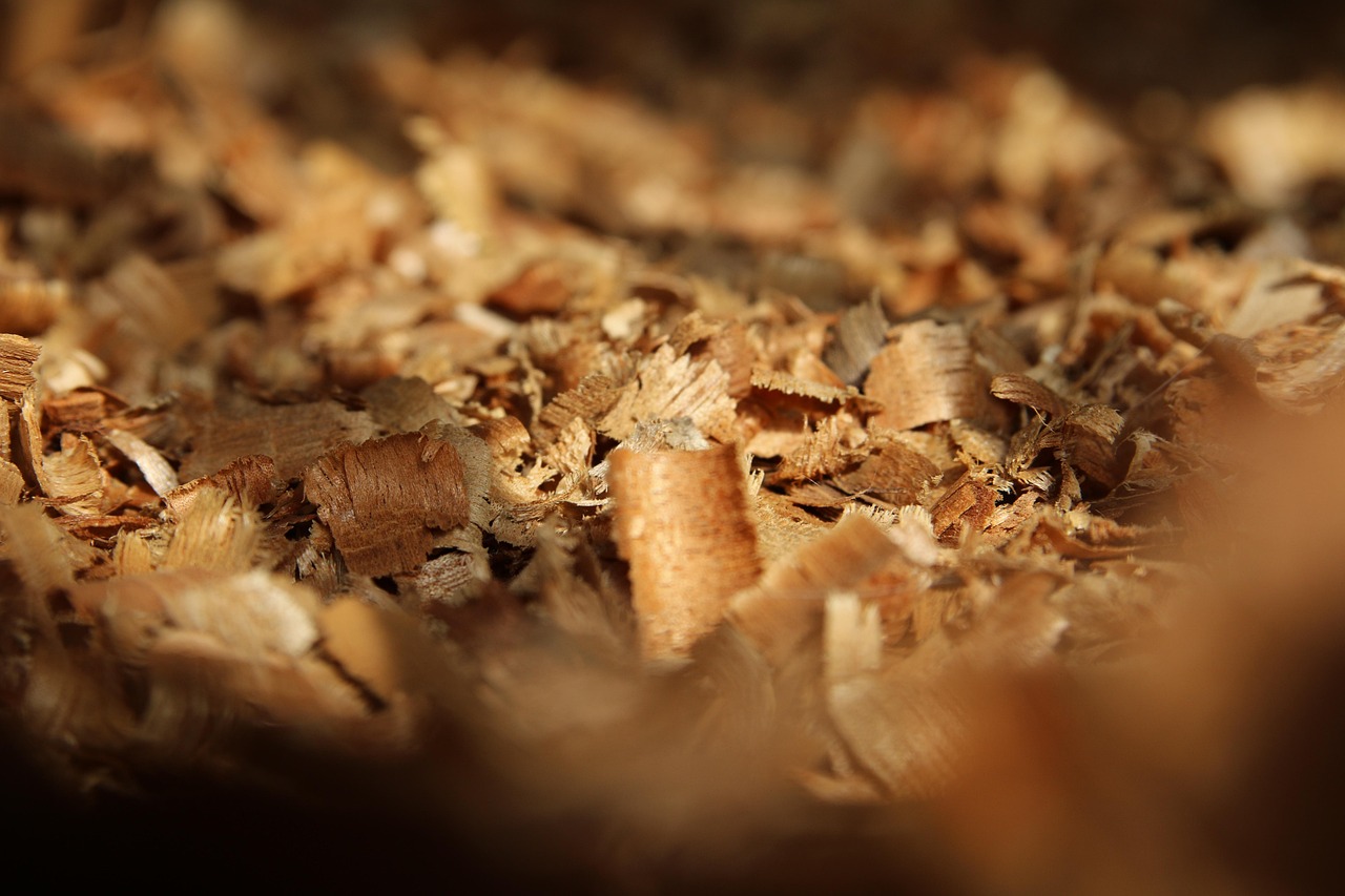 wood, chip, texture, carpenter, nature, colors, carpentry, chips, cabinetmaker, tree, recycle, natural, carpenter, carpenter, carpenter, carpenter, carpenter, carpentry, cabinetmaker